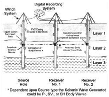 Crosshole seismic wave survey